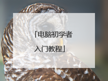 电脑初学者入门教程