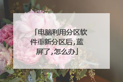电脑利用分区软件重新分区后,蓝屏了,怎么办