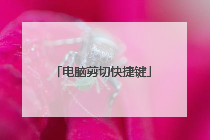 电脑剪切快捷键