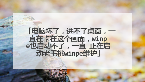 电脑坏了,进不了桌面,一直在卡在这个画面,winpe也启动不了,一直 正在启动老毛桃winpe维护