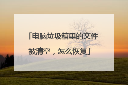 电脑垃圾箱里的文件被清空,怎么恢复