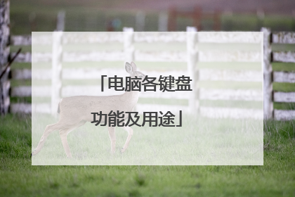 电脑各键盘功能及用途