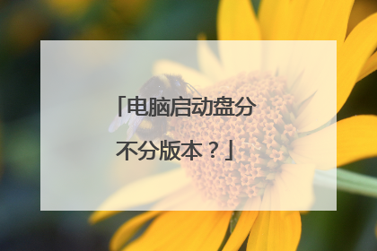 电脑启动盘分不分版本?