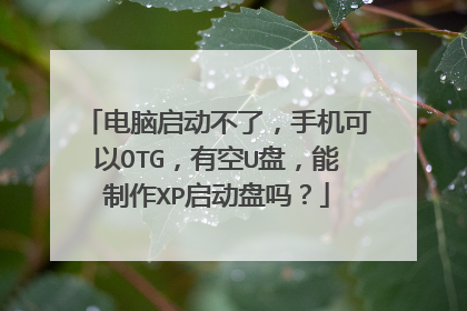 电脑启动不了,手机可以OTG,有空U盘,能制作XP启动盘吗?