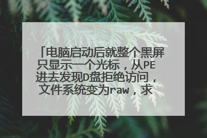 电脑启动后就整个黑屏只显示一个光标,从PE进去发现D盘拒绝访问,文件系统变为raw,求解,谢谢~笑口常开