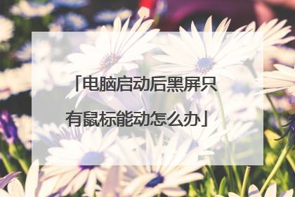 电脑启动后黑屏只有鼠标能动怎么办