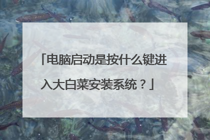 电脑启动是按什么键进入大白菜安装系统?