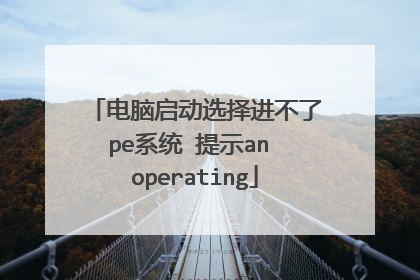 电脑启动选择进不了pe系统 提示an operating