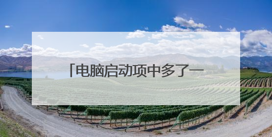 电脑启动项中多了一个U盘装机大师，怎么删掉这个启动项？