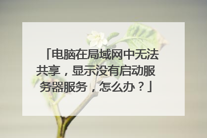 电脑在局域网中无法共享,显示没有启动服务器服务,怎么办?
