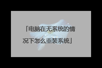 电脑在无系统的情况下怎么重装系统