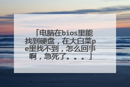 电脑在bios里能找到硬盘，在大白菜pe里找不到，怎么回事啊，急死了。。。