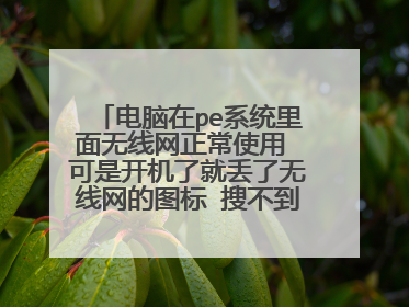 电脑在pe系统里面无线网正常使用 可是开机了就丢了无线网的图标 搜不到WiFi连接不上 可以手机连?