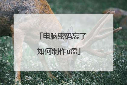 电脑密码忘了如何制作u盘