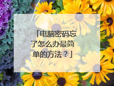 电脑密码忘了怎么办最简单的方法?