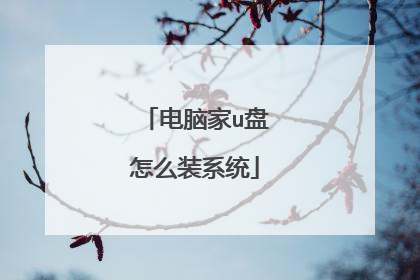 电脑家u盘怎么装系统