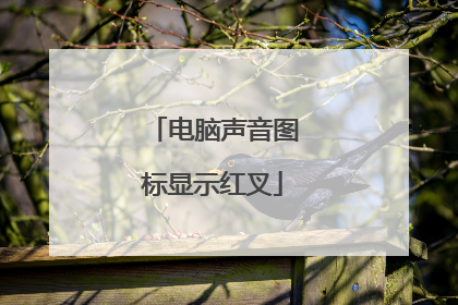 电脑声音图标显示红叉