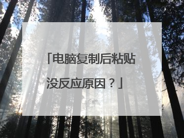 电脑复制后粘贴没反应原因?