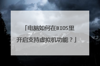 电脑如何在BIOS里开启支持虚拟机功能?