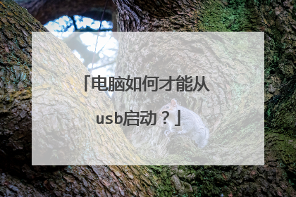 电脑如何才能从usb启动?