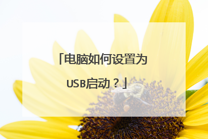 电脑如何设置为USB启动?
