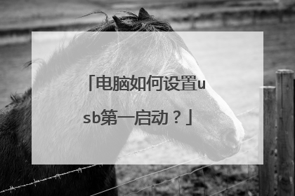 电脑如何设置usb第一启动?