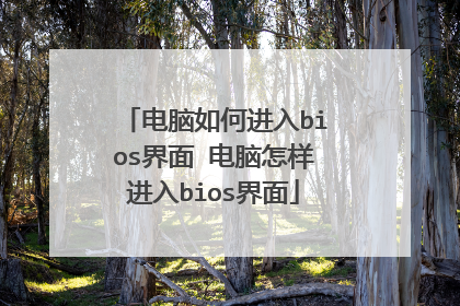 电脑如何进入bios界面 电脑怎样进入bios界面
