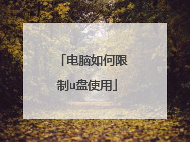 电脑如何限制u盘使用