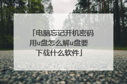 电脑忘记开机密码用u盘怎么解u盘要下载什么软件
