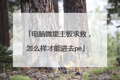 电脑微星主板求救,怎么样才能进去pe