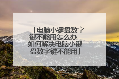 电脑小键盘数字键不能用怎么办 如何解决电脑小键盘数字键不能用