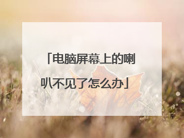 电脑屏幕上的喇叭不见了怎么办