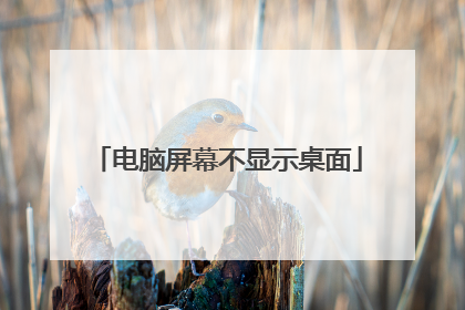 电脑屏幕不显示桌面