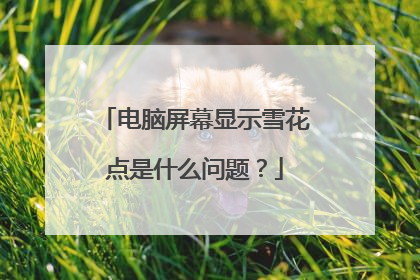 电脑屏幕显示雪花点是什么问题?