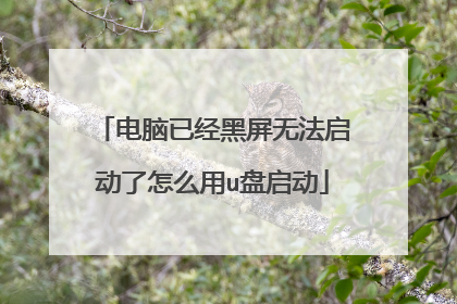 电脑已经黑屏无法启动了怎么用u盘启动