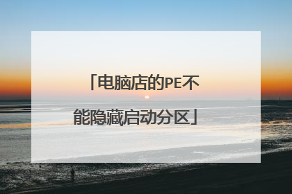 电脑店的PE不能隐藏启动分区