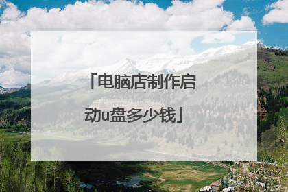 电脑店制作启动u盘多少钱