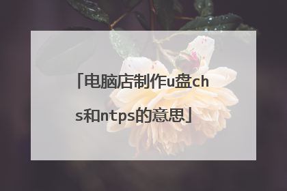 电脑店制作u盘chs和ntps的意思