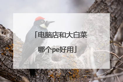 电脑店和大白菜哪个pe好用