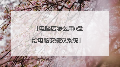 电脑店怎么用u盘给电脑安装双系统