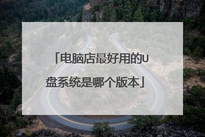 电脑店最好用的U盘系统是哪个版本