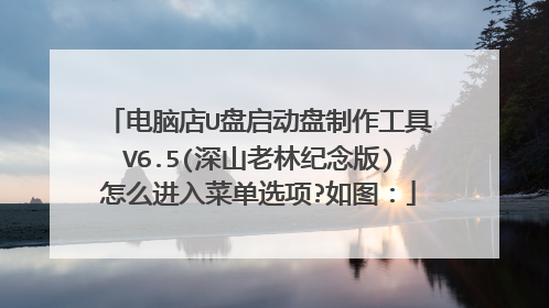 电脑店U盘启动盘制作工具V6.5(深山老林纪念版)怎么进入菜单选项?如图：