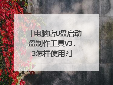 电脑店U盘启动盘制作工具V3.3怎样使用?