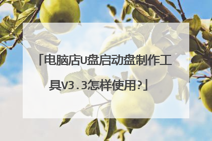电脑店U盘启动盘制作工具V3.3怎样使用?