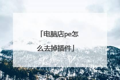 电脑店pe怎么去掉插件
