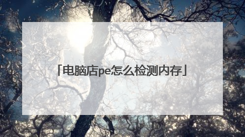电脑店pe怎么检测内存