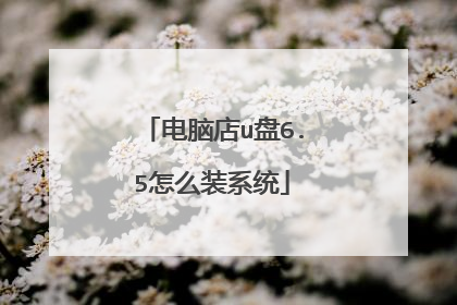 电脑店u盘6.5怎么装系统