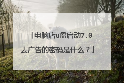 电脑店u盘启动7.0去广告的密码是什么?