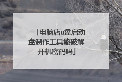 电脑店u盘启动盘制作工具能破解开机密码吗