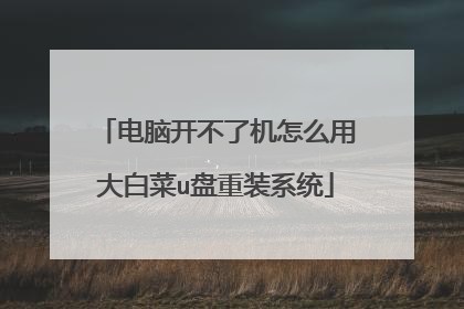 电脑开不了机怎么用大白菜u盘重装系统